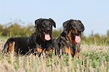 BEAUCERON 581